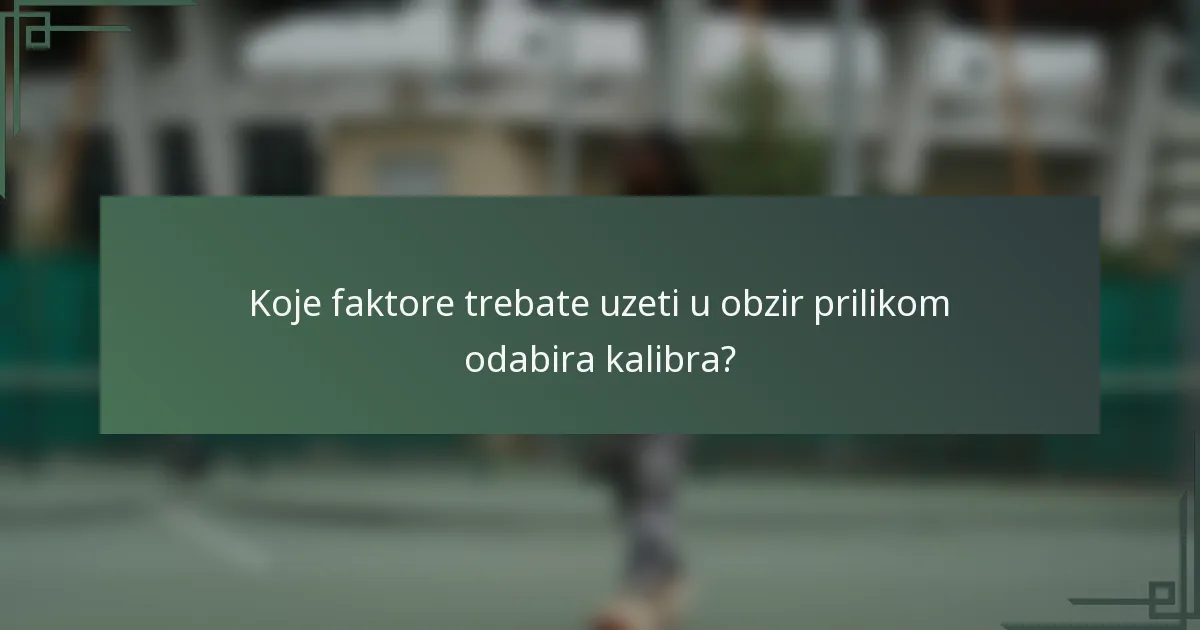 Koje faktore trebate uzeti u obzir prilikom odabira kalibra?