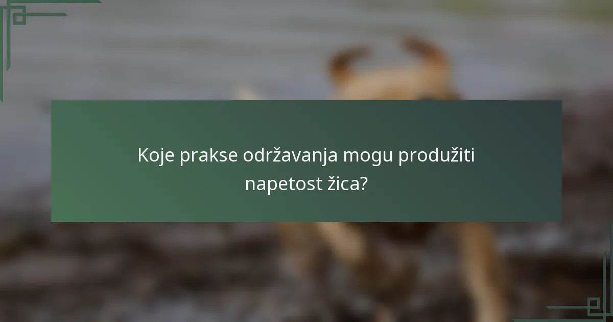 Koje prakse održavanja mogu produžiti napetost žica?